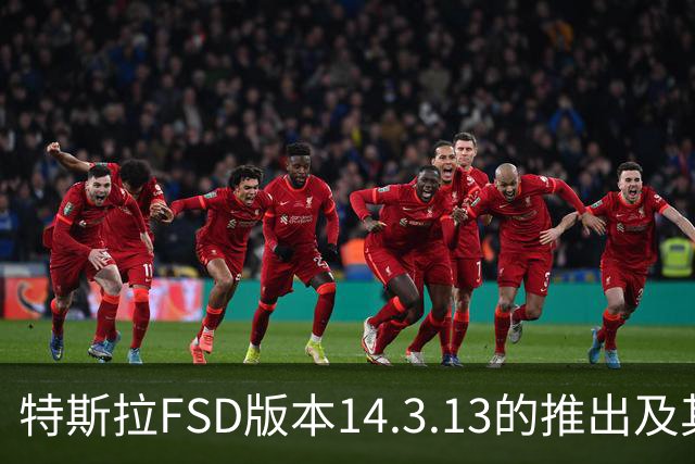 特斯拉FSD版本14.3.13的推出及其技术进展分析